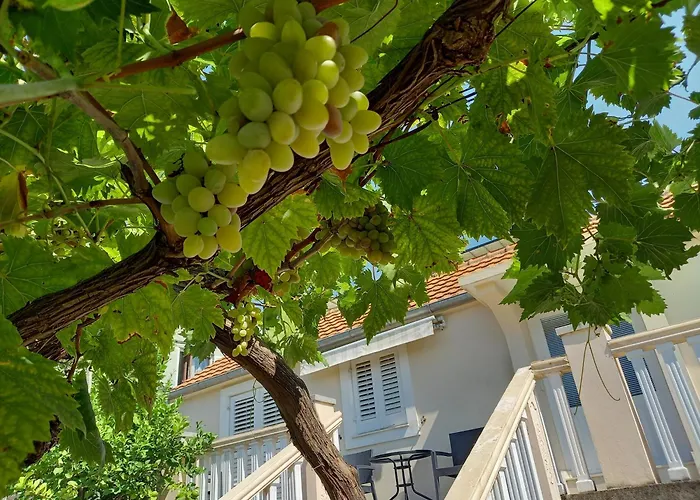 Apartman Maslovar