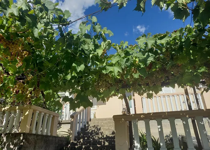 Apartman Maslovar