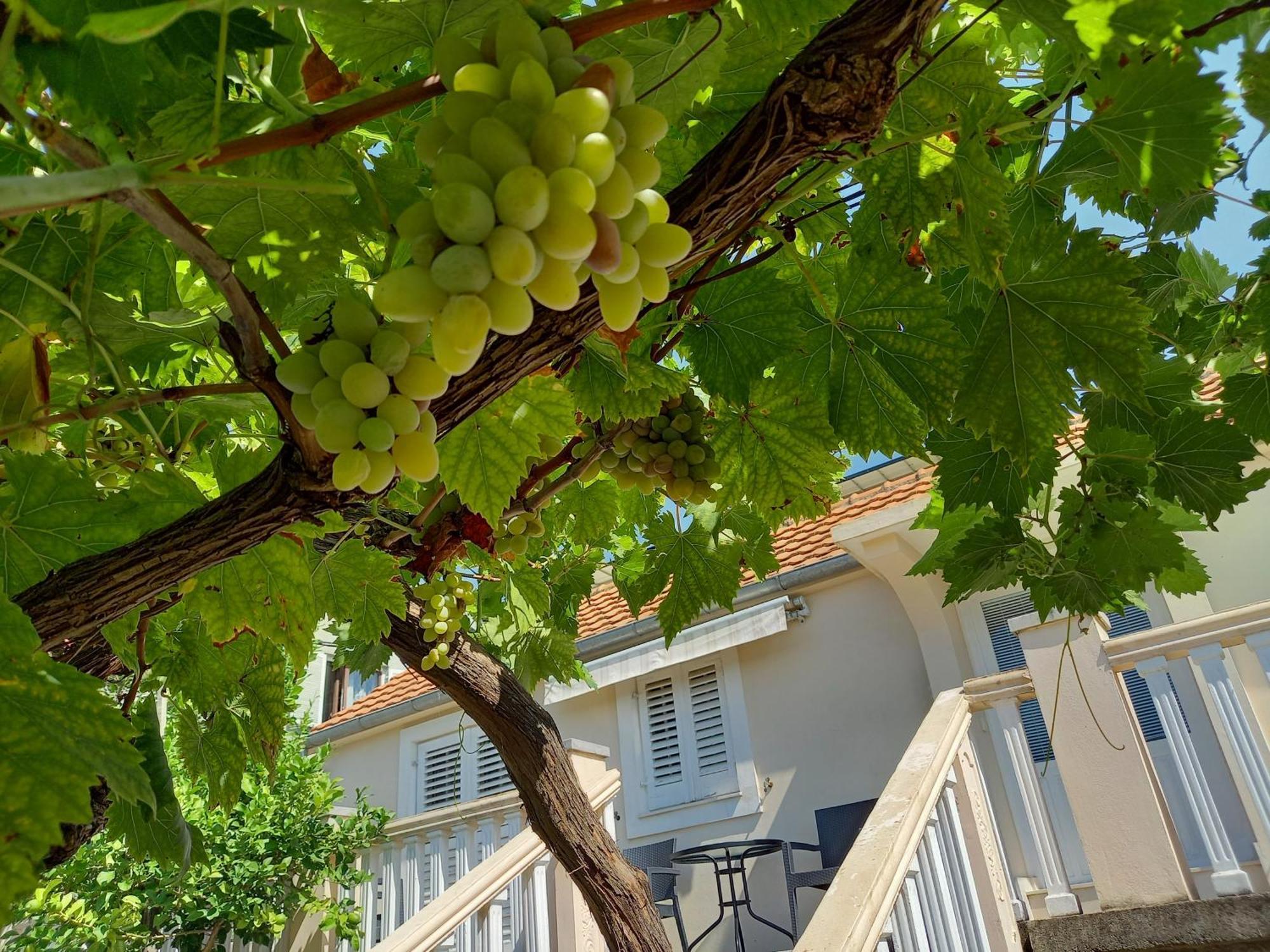 Maslovar Appartement *