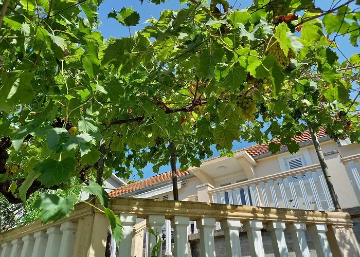 Apartman Maslovar