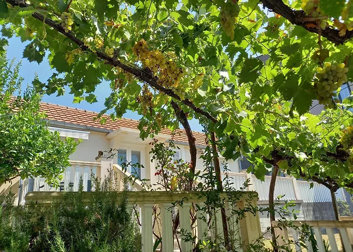 Apartman Maslovar