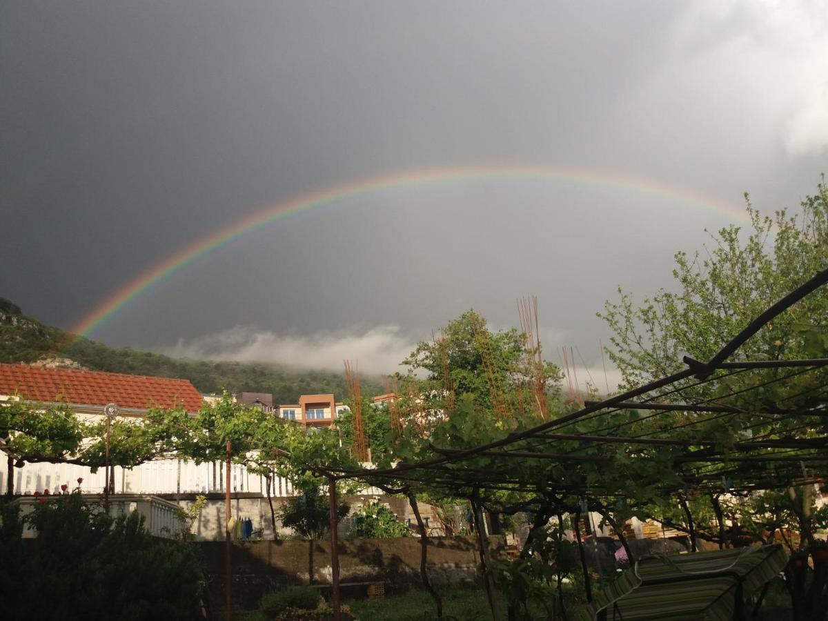 Apartman Maslovar Kotor